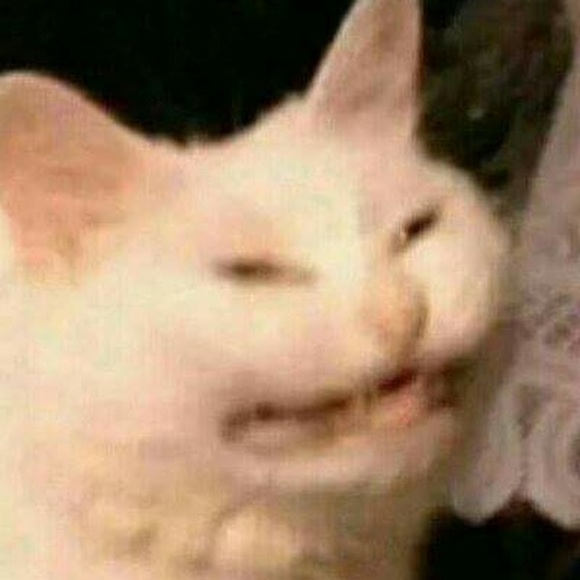 Meet your Posher, Ayllin - Picture 1 of 1